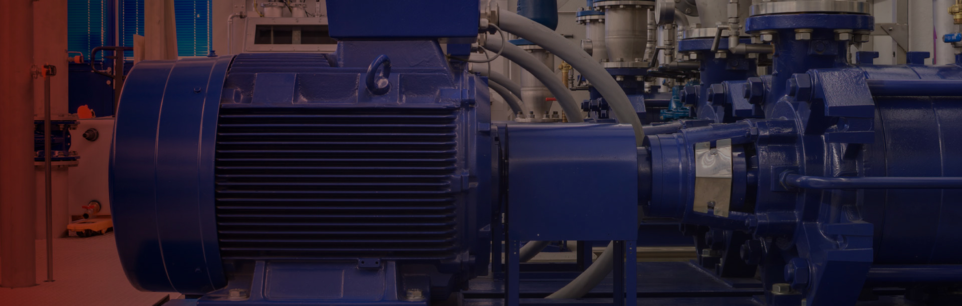 <h2>Motors, Variable Speed Drives &amp; Soft Starters for motor starting applications</h2>
<p>IPD offers a complete range of motor control and protection products to support reliable electric motor operation across industrial and commercial systems. Our solutions are designed to meet the needs of mechanical services, electrical engineers, OEMs and maintenance teams working with pumps, conveyors, fans and machinery.</p>
<p>For product selection support or application advice,&nbsp;<a target="_blank" href=zerrorf0a9.html rel="noopener">get in touch with our team.</a></p>